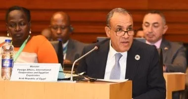 وزير الخارجية المصري: تعزيز التضامن العربي ضرورة لمواجهة التحديات الأمنية والقضية الفلسطينية