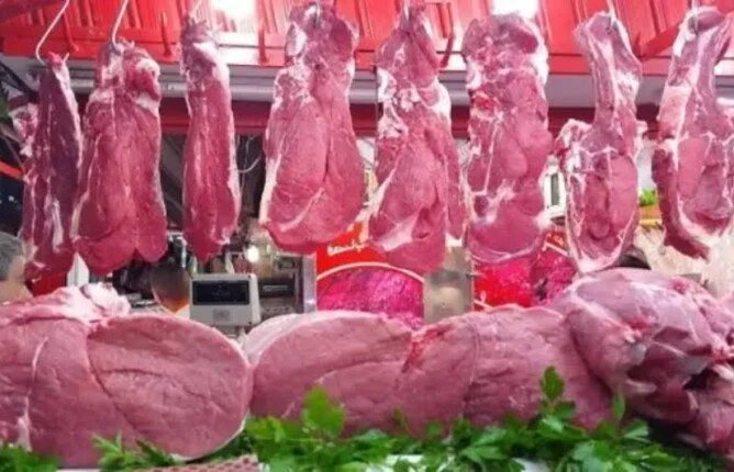 استقرار أسعار اللحوم البلدية والمستوردة في السوق المحلي اليوم الثلاثاء 23 يونيو 2026