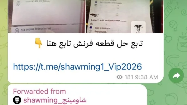 تسريب مزعوم لإجابات امتحان اللغة الفرنسية يثير القلق في لجان الثانوية العامة 2026 ووزارة التعليم تتخذ إجراءات فورية