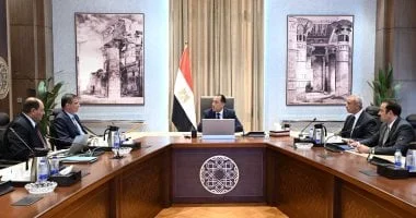مصر تعزز الأمن الغذائي بخطة لتطوير محطة غرب المنيا لتربية الجاموس الخليط الإيطالي