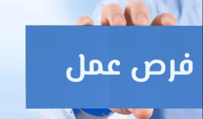 وظائف جديدة في الجيزة برواتب تصل إلى 28 ألف جنيه: فرص عمل مميزة للشباب والكفاءات