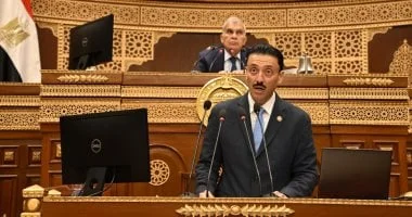 النائب محمد رزق يكشف عن وجود 3.74 مليون شركة في قطاع المشروعات الصغيرة والمتوسطة وأهمية دعمها للنمو الاقتصادي