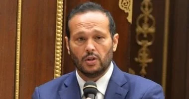 محمد حلاوة يدعو الحكومة لتعزيز الاستثمار في قطاع البتروكيماويات لتحقيق التنمية الاقتصادية المستدامة