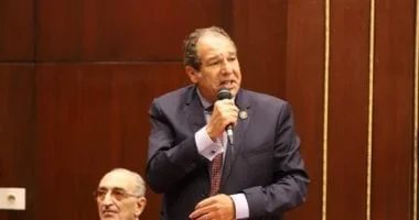 حسام الخولي: تعزيز الصناعة المحلية مفتاح لتحقيق توازن فعال بين الصادرات والواردات