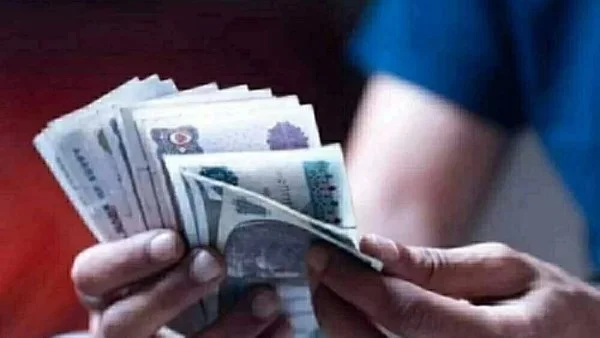 استثمر بأمان: تعرف على كيفية شراء الشهادات البنكية بعائد يصل إلى 22% من الأهلي ومصر