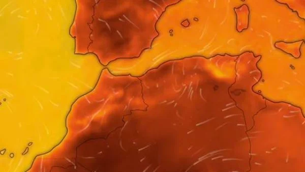 الأرصاد تحذر من شبورة مائية كثيفة وتكشف عن طقس حار في مصر الأربعاء