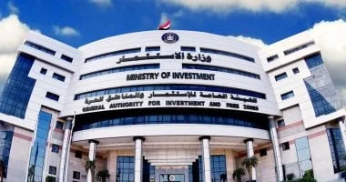 تعرف على العقوبات الجديدة لمخالفة سجل المستوردين في مصر وكيفية التصالح معها