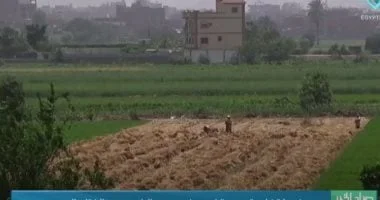 تحذيرات من مركز المناخ: موجة حر شديدة تبدأ الجمعة المقبلة وتستمر لأسبوعين