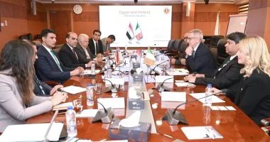 مصر وأيرلندا تتعاونان لنقل خبرات الذكاء الاصطناعي وتعزيز الصناعة المحلية
