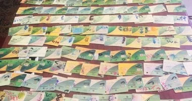 مصر تستعد لتحويل دعم السلع التموينية من عينى إلى نقدى: تفاصيل الموعد والتوسع في المنافذ