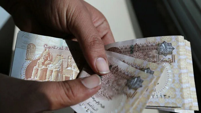 برنامج الحماية الاجتماعية الموحد: ضمان وصول الدعم للمستحقين وتعزيز التنمية المستدامة في مصر