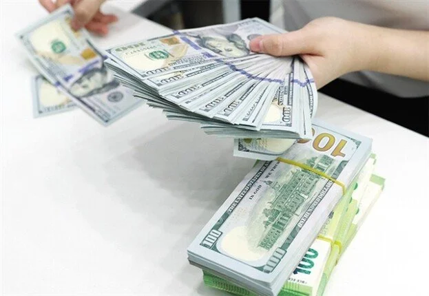 استقرار سعر الدولار في مصر اليوم الخميس 25 يونيو 2026 وسط تقلبات اقتصادية