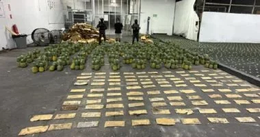ضبط 30 كيلوغراماً من الكوكايين مخبأة في شحنة أناناس بالدومينيكان في محاولة تهريب دولية فاشلة