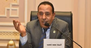 النائب محمد شعيب: زيادة المعاشات تعكس أولوية الرئيس في دعم المواطنين المصريين