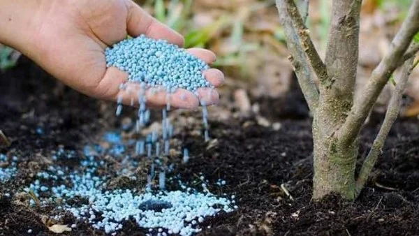 الزراعة تعلن توزيع 5.8 مليون شكارة أسمدة وتوفير 120 ألف شكارة يومياً للمزارعين في جميع المحافظات