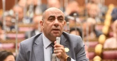 نجاح Fan Zone: تأكيد قدرة مصر على تنظيم الفعاليات الكبرى وتعزيز الهوية الوطنية