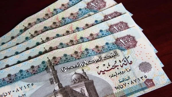 زيادة رسمية بنسبة 15% في معاشات يوليو 2026: احسب معاشك الآن!
