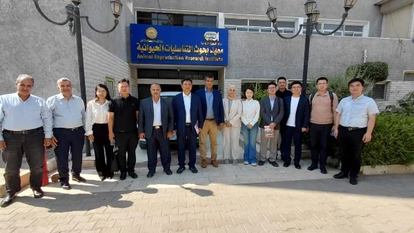 مصر تعزز التعاون العلمي مع الصين في قطاع الثروة الحيوانية بزيارة وفد من جامعة نانجين