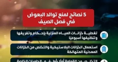 5 خطوات فعالة من وزارة الصحة لمكافحة تكاثر البعوض في الصيف