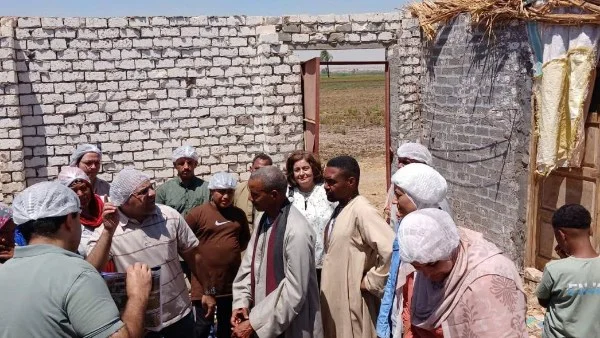 تدريب مبتكر لمربي الماشية في مصر: خطوة نحو تعزيز الثروة الحيوانية ومواجهة تحديات المناخ