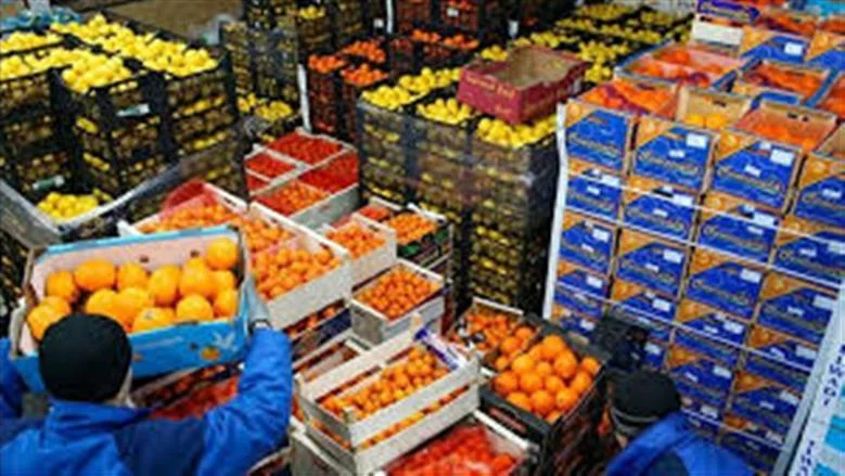 صادرات الغذاء المصرية تحقق ارتفاعًا ملحوظًا.. الموالح والبصل يتصدران المشهد