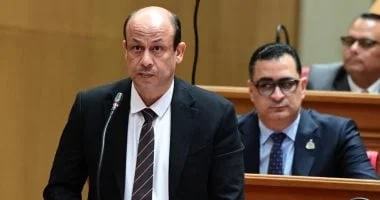 سمير البيومي: ثورة 30 يونيو كانت انطلاقة نحو بناء الجمهورية الجديدة وتحقيق التنمية المستدامة