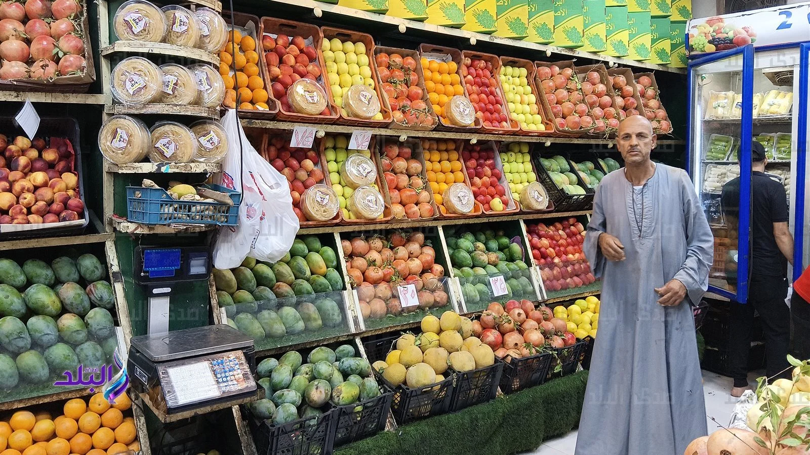 استقرار أسعار الفاكهة في سوق العبور اليوم: التفاح يسجل 48 جنيهاً للكيلو والأصناف الأخرى تتفاوت بأسعارها
