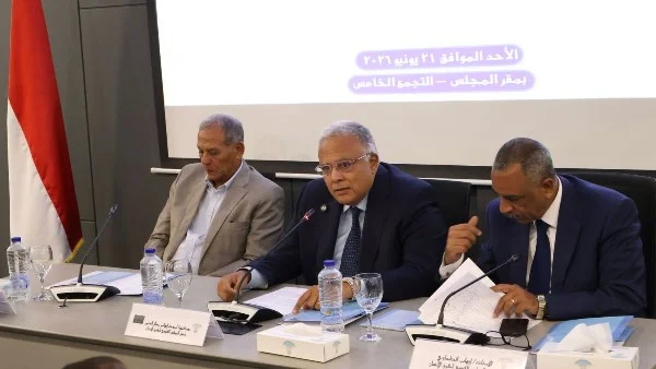 تعديل قانون الأسرة المصرية: نحو تشريع يحمي المجتمع ويعزز التماسك الاجتماعي