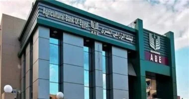 البنك الزراعي المصري يختتم شراكة ناجحة مع الوكالة الألمانية لتعزيز التمويل المستدام وإدارة المخاطر البيئية