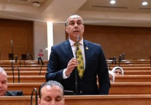 النائب محمد بلتاجي: دعم الصناعة المحلية هو السبيل لتعزيز الاقتصاد وزيادة الصادرات