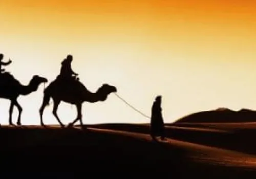 موكب الهجرة النبوية الشريفة ينطلق اليوم بفعاليات احتفالية مميزة بعد صلاة المغرب