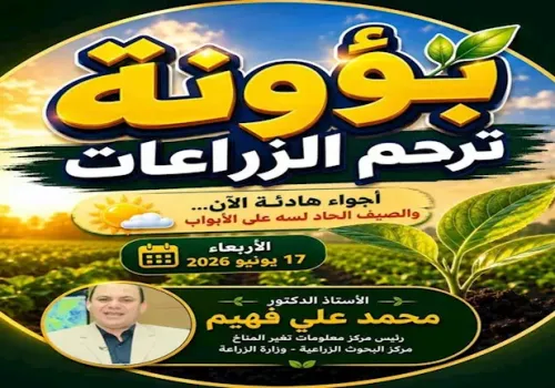 تحذيرات زراعية: ارتفاع الرطوبة ينذر بزيادة نشاط الحشرات.. نصائح هامة للمزارعين