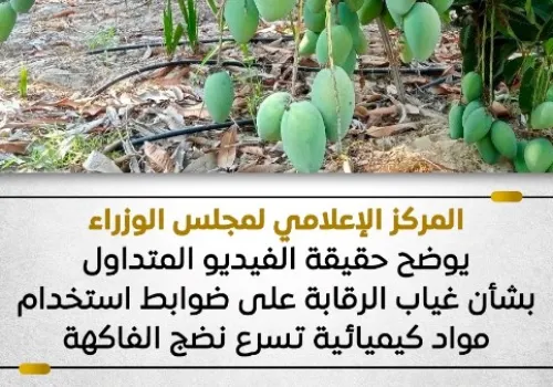 وزارة الزراعة توضح حقيقة غياب الرقابة على استخدام مواد كيميائية لتسريع نضج الفاكهة بعد تداول فيديو مثير للجدل