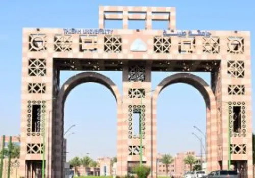 ملتقى التوظيف بجامعة طيبة: ورش وجلسات متخصصة لتعزيز مهارات الخريجين لمواجهة تحديات سوق العمل