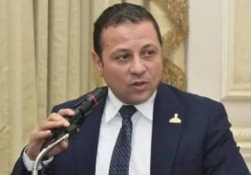 نائب: قمة مجموعة السبع تسلط الضوء على الدور الفعال لمصر في مواجهة التحديات العالمية