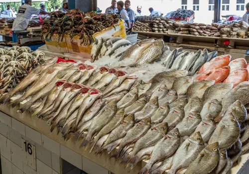 أسعار الأسماك تتقلب: البلطي يتجاوز 100 جنيه والجمبري يشهد انخفاضًا ملحوظًا