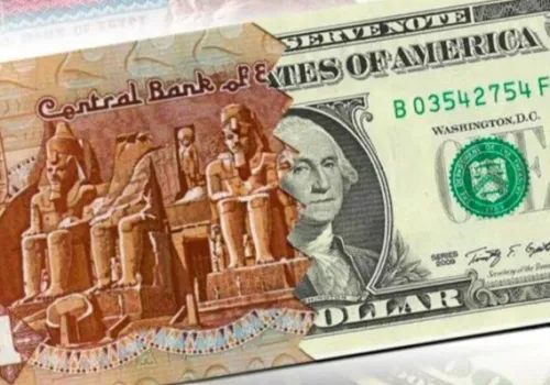 الجنيه المصري يرتفع 4% بفضل تدفقات دولارية قياسية: الدولار ينخفض دون 50 جنيهاً