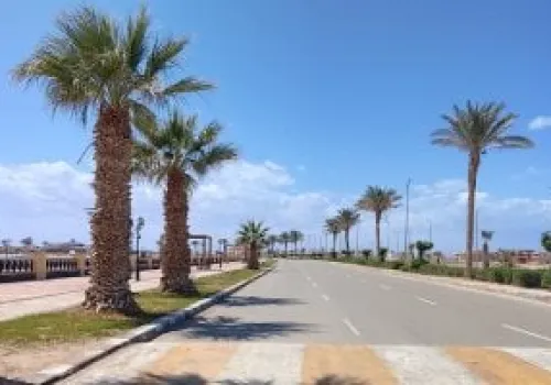 مصر غداً: أجواء حارة ورطوبة مرتفعة مع شبورة صباحية ودرجات حرارة تصل إلى 34 في القاهرة
