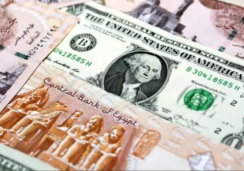استقرار سعر الدولار اليوم في البنوك المصرية.. تعرف على أحدث الأسعار في الأهلي ومصر