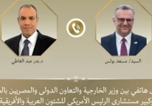 وزير الخارجية المصري يتواصل مع مستشار ترامب لبحث التطورات الإقليمية وتعزيز العلاقات الثنائية