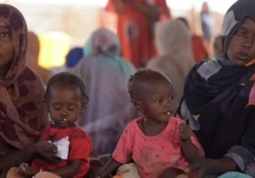 السودان في قلب أزمة الجوع: تحذيرات الفاو وبرنامج الأغذية حتى 2026