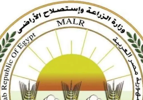 8 ملايين جرعة تحصين للماشية: وزارة الزراعة تختتم حملة وطنية لحماية الثروة الحيوانية في مصر