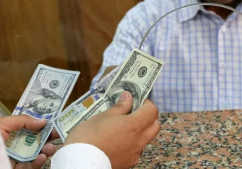 استقرار سعر الدولار أمام الجنيه المصري في تداولات الجمعة مع الحفاظ على مستويات العملة الخضراء