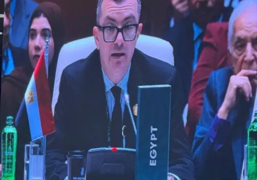 وزير التخطيط: تعزيز أدوات التمويل التنموي لمواجهة الأزمات العالمية المتزايدة
