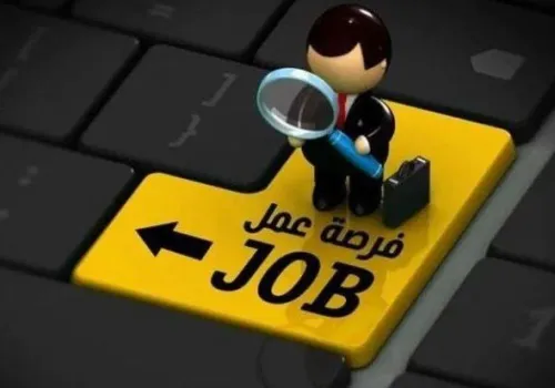فرص عمل جديدة في النقل البري بمصر: مئات الوظائف برواتب تصل إلى 15 ألف جنيه للشباب