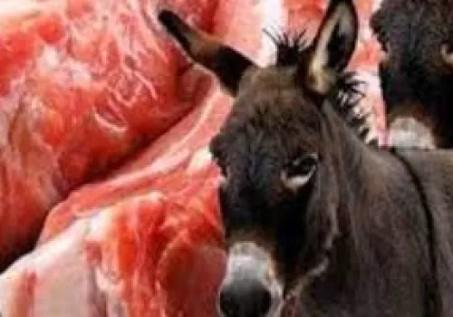 الأرجنتين تواجه أزمة لحوم جديدة: جدل حول تسويق لحوم الحمير والتحقيقات القانونية تتصاعد