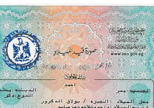 استخراج شهادة الميلاد المميكنة بسهولة: خطوات سريعة عبر المنصات الرقمية