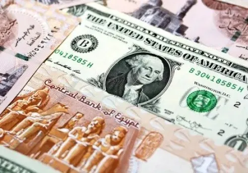 استقرار سعر الدولار في مصر اليوم الجمعة 19 يونيو 2026 وسط ترقب في السوق المحلية