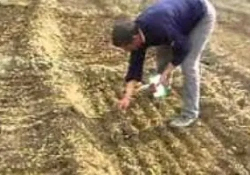 قانون الزراعة الجديد: ضوابط مشددة لتنظيم الاتجار بالتقاوى ومنح صلاحيات رقابية لمأموري الضبط القضائي