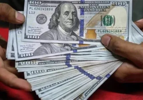 استقرار سعر الدولار مقابل الجنيه المصري في البنوك اليوم السبت 20 يونيو 2026